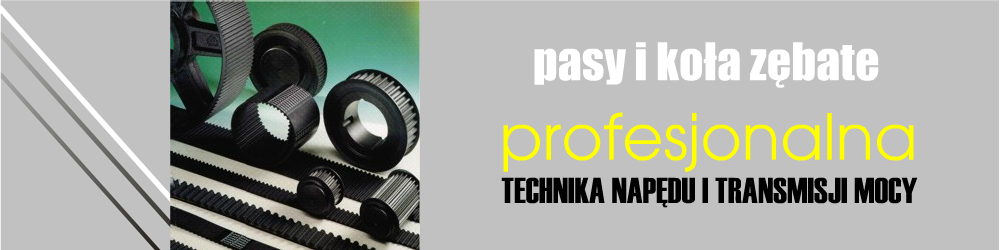 Pasy zębate 